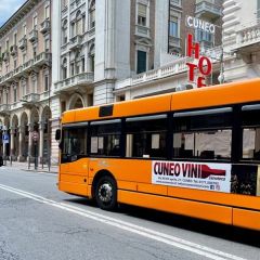 Pubblicità dinamica autobus Cuneo