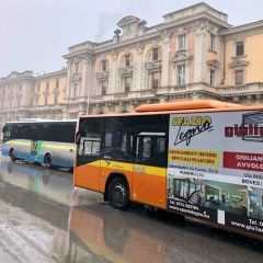 Pubblicità dinamica autobus Cuneo