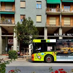 Pubblicità dinamica autobus Cuneo