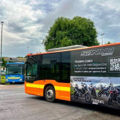Pubblicità dinamica autobus Alba