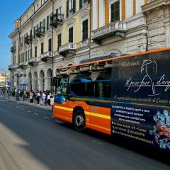 Pubblicità dinamica autobus Cuneo