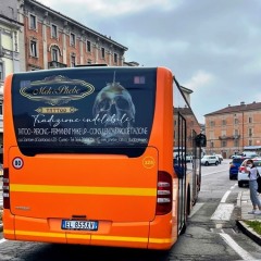 Pubblicità dinamica autobus Mondovì