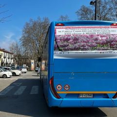 Pubblicità dinamica autobus Provincia di Cuneo