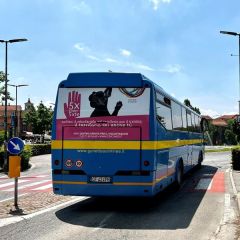 Pubblicità dinamica autobus Provincia di Cuneo