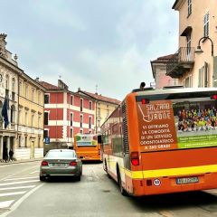 Pubblicità dinamica autobus Mondovì